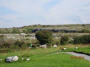 The Burren. The ground is pretty much rock. 