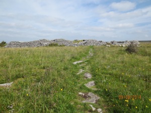 The ring fort which we got to explore