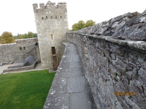 On the castle wall!